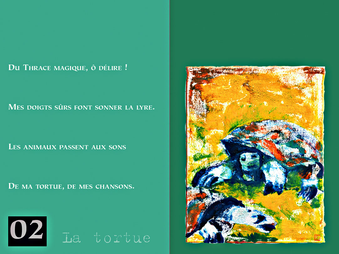 La Tortue